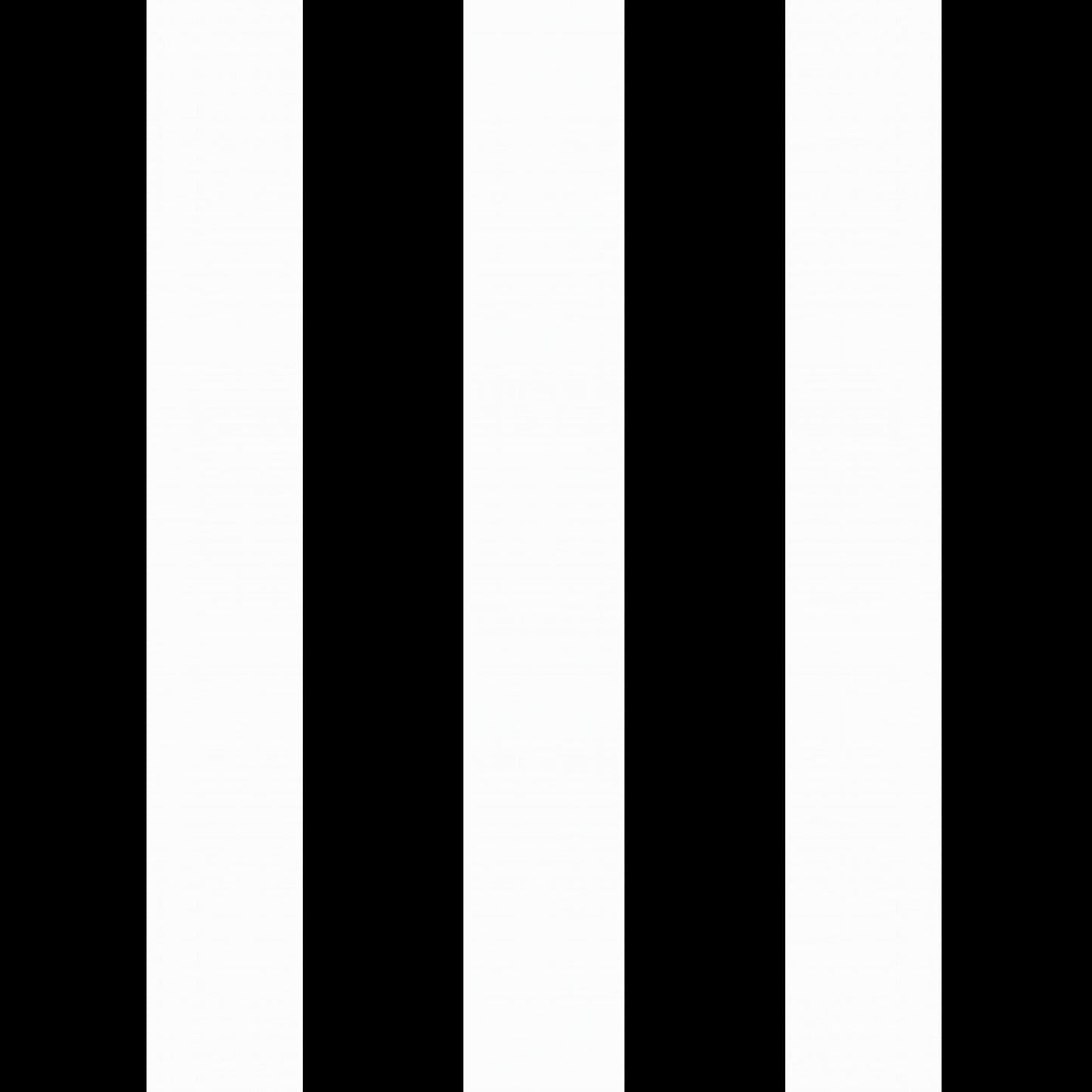 Arden Outdoor Loveseat Cushion Set, 48 x 24, Water Repellent, Fade Resistant, Cushion Set for Couch, Bench, and Swing, Black Cabana Stripe